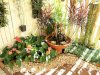  DIY Outdoor Projects: Transforming Your Garden on a Budget