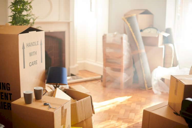 Why Hiring Professional Packers and Movers is Essential for Your Household Items.