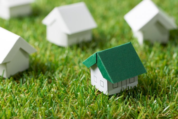 Eco-friendly Ideas for Homeowners for Creating a Sustainable Garden