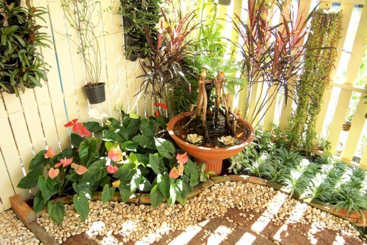 DIY Outdoor Projects: Transforming Your Garden on a Budget
