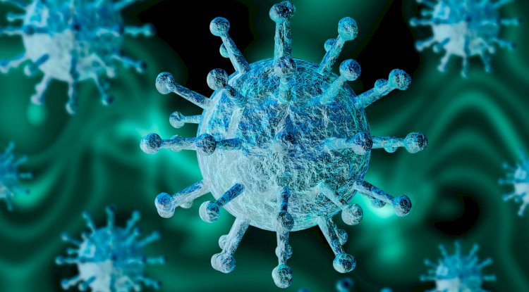 Self Storage during Life crisis